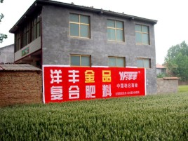 苍梧如何让墙体广告展现最大化效果