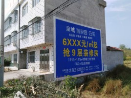 苍梧墙体广告质量分析