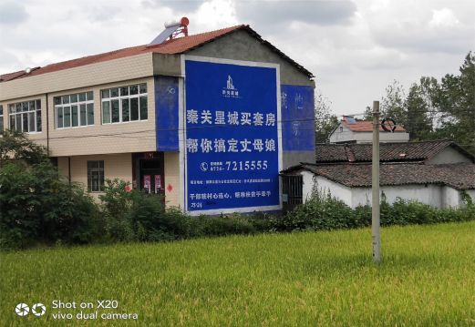 苍梧决定墙体广告价格的因素有哪些?