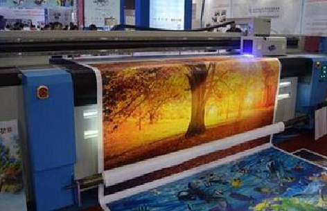 苍梧写真有哪些介质？